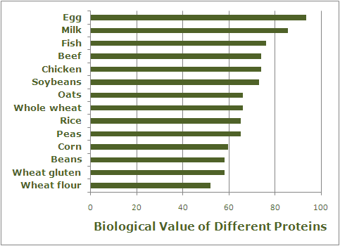 Alimenti monoproteici – Zampotta